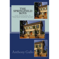 The Springfield Boys: Abraham Lincoln, Joshua Speed, and Billy Herndon - Paperback
