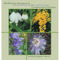 Wildflower Rendevous in the Cumberland Plateau - Hardcover