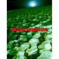Isabelle Andriessen: Dorm - Paperback
