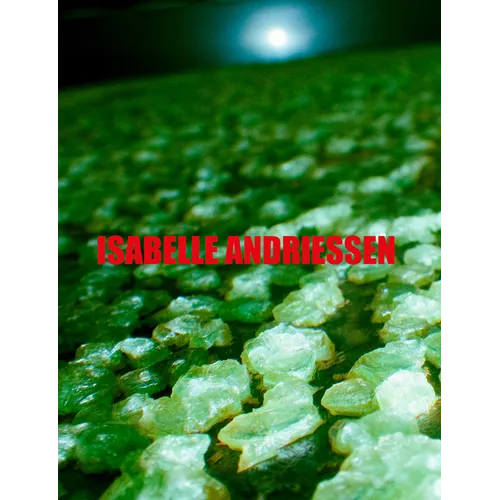 Isabelle Andriessen: Dorm - Paperback