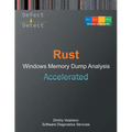 Accelerated Rust Windows Memory Dump Analysis - Paperback