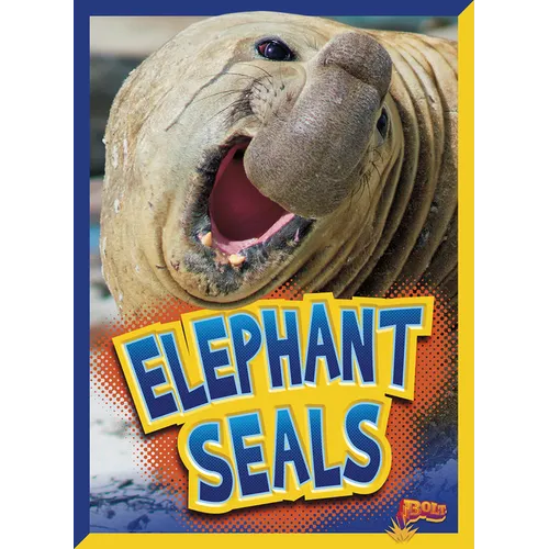 Elephant Seals - Paperback