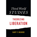 Third World Studies: Theorizing Liberation - Paperback