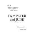 1 & 2 Peter and Jude: A Critical & Exegetical Commentary - Hardcover