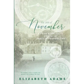 The 26th of November: A Pride and Prejudice Comedy of Farcical Proportions - Paperback