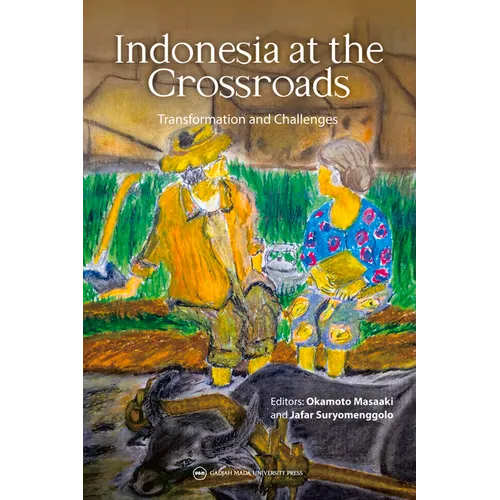 Indonesia at the Crossroads: Transformation and Challenges - Paperback