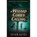 A Wizard Comes Calling - Hardcover