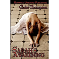 Sarah's Awakening - Paperback