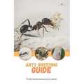 Ants breeding guide: The life and maintenance of ant colonies - Paperback