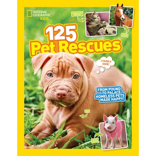 125 Pet Rescues: From Pound to Palace: Homeless Pets Made Happy - Paperback