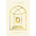 Little World - Hardcover