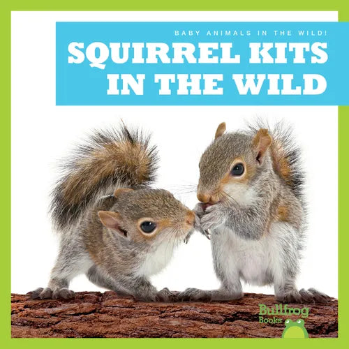 Squirrel Kits in the Wild - Library Binding