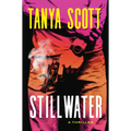 Stillwater: A Luke Harris Thriller - Hardcover