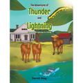 The Adventures of Thunder and Lightning: Thunder and Lightning Go Fishing - Hardcover
