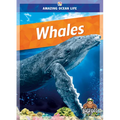 Whales - Library Binding