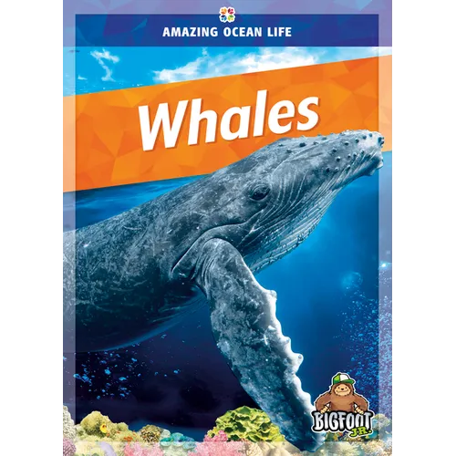 Whales - Library Binding