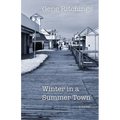Winter in a Summer Town - Paperback