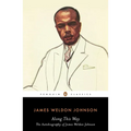 Along This Way: The Autobiography of James Weldon Johnson - Paperback