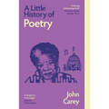 A Little History of Poetry - Paperback