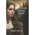 A Mountain Among Many - Paperback