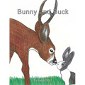 Bunny and Buck - Paperback