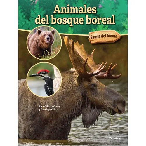 Animales del Bosque Boreal: Boreal Forest Animals - Paperback