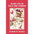 Plant Life in Field and Garden (Yesterday's Classics) - Paperback