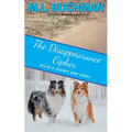 The Disappearance Cipher: a coming of age romantic suspense - Paperback