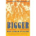Bigger: Essays - Paperback
