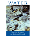 Water: The Element of Life - Paperback