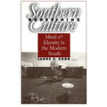Redefining Southern Culture: Mind and Identity in the Modern South - Paperback