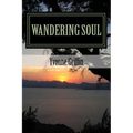 Wandering Soul: full of love, pain, and fun - Paperback