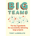 Big Teams: The Key Ingredients for Successfully Delivering Large Projects - Paperback