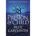Blue Labyrinth - Paperback