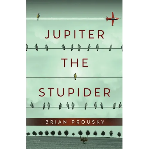 Jupiter the Stupider - Paperback