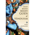 Many Many Many Gods of Hinduism: Turning believers into non-believers and non-believers into believers - Paperback
