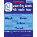 240 Vocabulary Words Kids Need to Know: Grade 2: 24 Ready-To-Reproduce Packets Inside! - Paperback