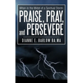 When in the Midst of a Spiritual Storm: Praise, Pray, and Persevere - Paperback