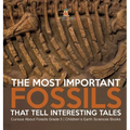 The Most Important Fossils That Tell Interesting Tales Curious About Fossils Grade 5 Children's Earth Sciences Books - Hardcover