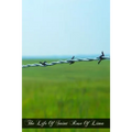 The Life Of Saint Rose Of Lima - Paperback