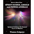 How To Meet Your SPIRIT GUIDES, ANGELS and POWER ANIMALS: Spiritual Guidance On Demand in 5 to 10 Minutes, a Practical Guide - Paperback