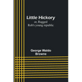 Little Hickory; or, Ragged Rob's young republic - Paperback