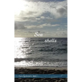 Seashells - Paperback