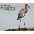 Learning My ABC's - Hardcover