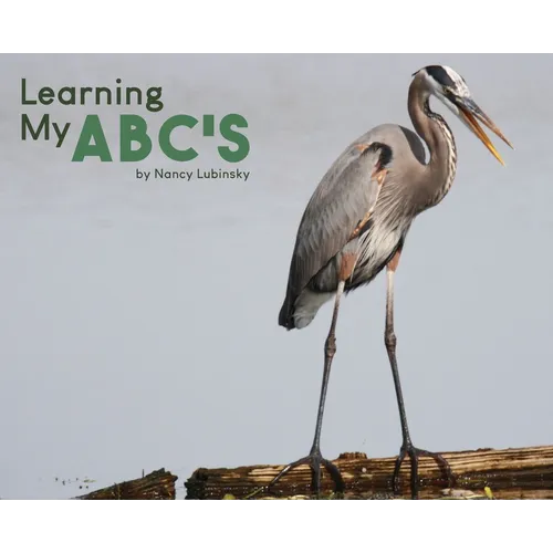 Learning My ABC's - Hardcover