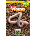 Worms: Backyard Bugs and Creepy-Crawlies (Engaging Readers, Level Pre-1) - Paperback