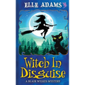 Witch in Disguise - Paperback