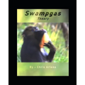 Swampgas Theory - Paperback
