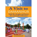 A Visit to Damanhur: Daily life, thoughts and history of a community of dreamers - Paperback
