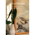 Small mercies - Paperback